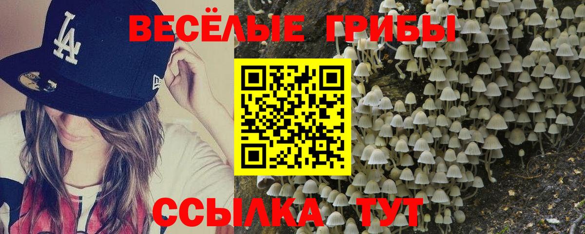Братск  Галлюциногенные грибы прущие грибы  Вход с VPN 