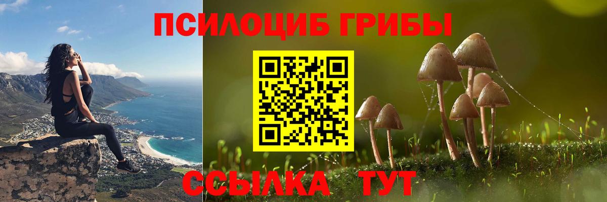 Псилоцибиновые грибы Psilocybine cubensis Братск