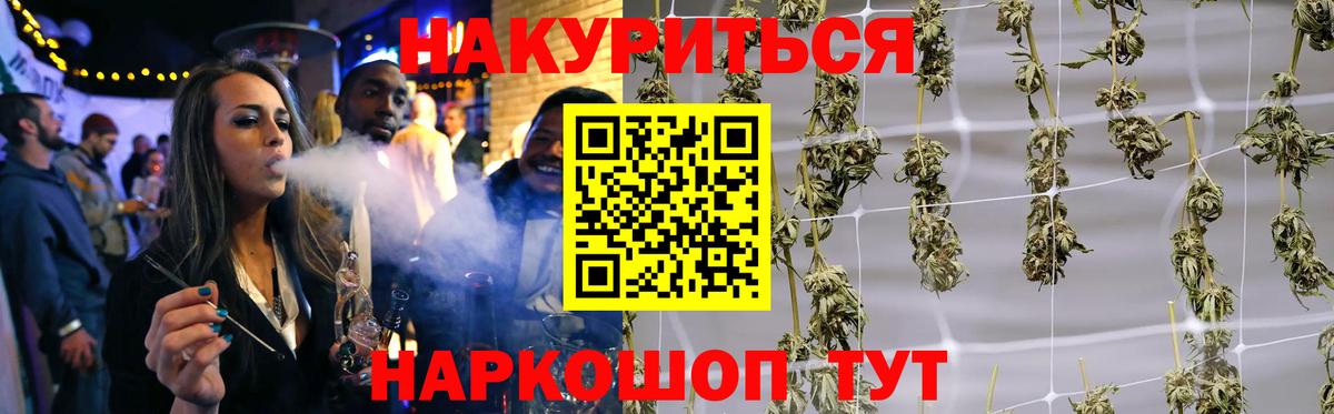 Канабис план  Шишки марихуана Bruce Banner  Канабис Bruce Banner  Братск  Вход с VPN 